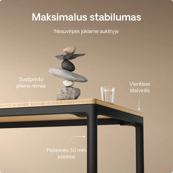 Įkelti vaizdą į galerijos rodinį,