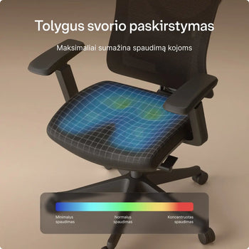 Įkelti vaizdą į galerijos rodinį,