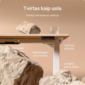 Įkelti vaizdą į galerijos rodinį, 
