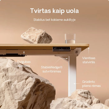 Įkelti vaizdą į galerijos rodinį, 
