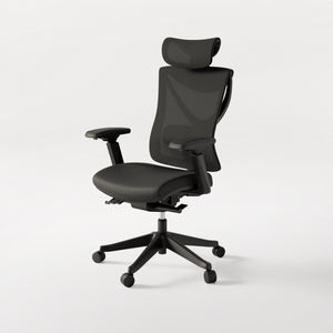 Biuro kėdė SitPro