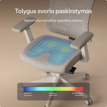Įkelti vaizdą į galerijos rodinį, 
