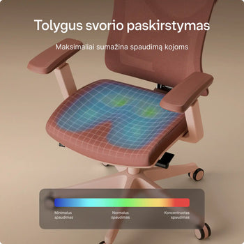 Įkelti vaizdą į galerijos rodinį, 
